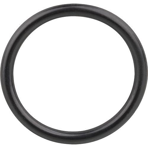 O-Ring für Flansch Standard 1