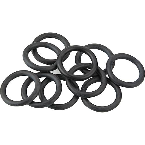 O-ring