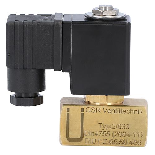 Siphon protection solenoid valve DN 10 (3/8) GSR Anwendung 1