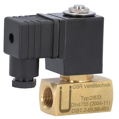 Siphon protection solenoid valve DN 10 (3/8) GSR