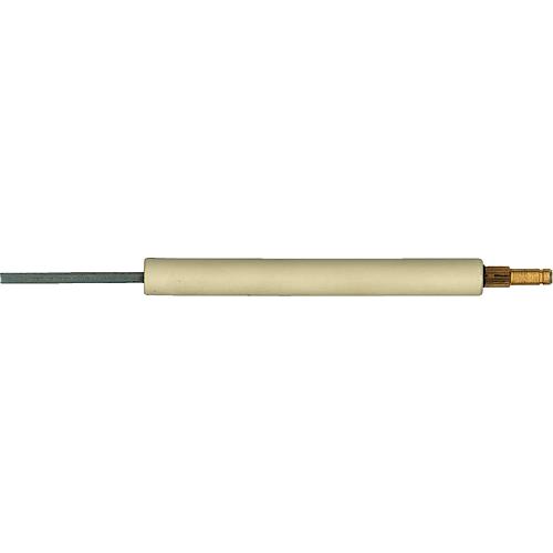 Ionisation electrode suitable for Riello BS1 Standard 1