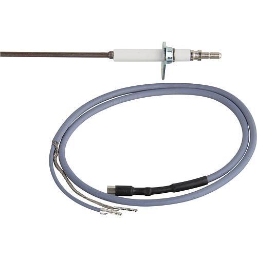 Electrode d'ionisation convient pour Oertli GSRH 201-501 G, GSNR 501 F Standard 1