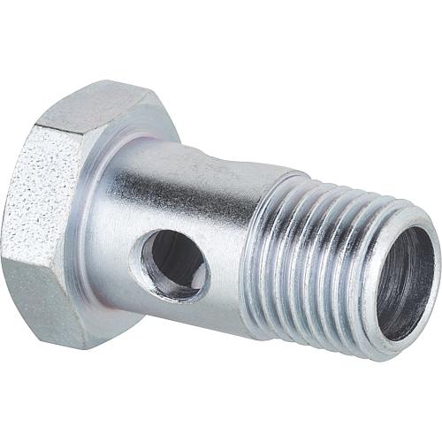 Vis creuse R 1/4"mâle pour flexible avec bague 14 mm ;