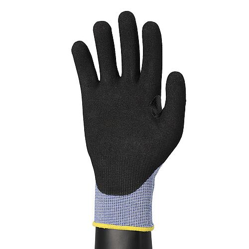 Gloves ECOMASTER PLUS C size 10