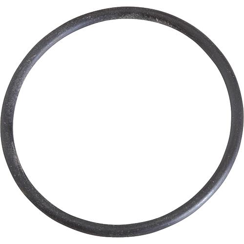 O-ring Standard 1