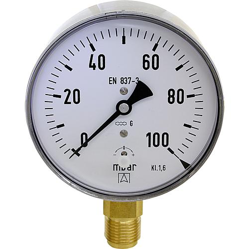 Manomètre à capsule inox ø 100 mm, DN 15 (1/2") radial Standard 1