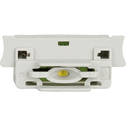 LED light insert Standard 1