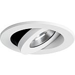 LED recessed luminaires with converter