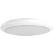 LED wall & ceiling surface-mounted light