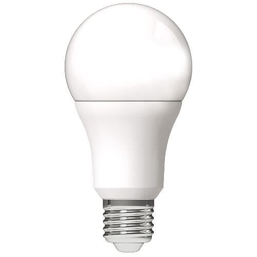 LED lamp, light bulb shape