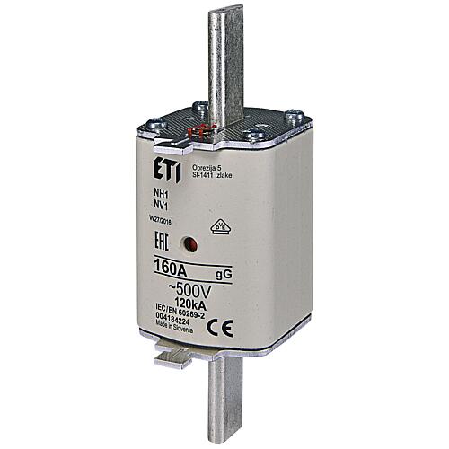 ETI NH fuse NH1 gG 160A/500V, PU 3