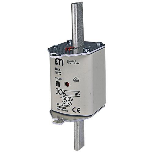 ETI NH fuse NH2C gG 100A/500V, PU 3