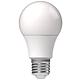LED lamp, light bulb shape