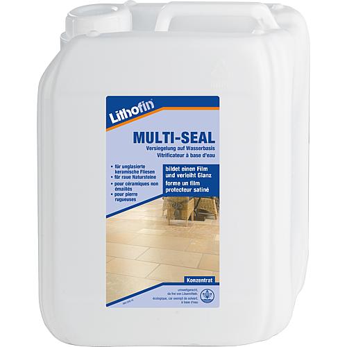 LITHOFIN MULTI-SEAL 5l canister