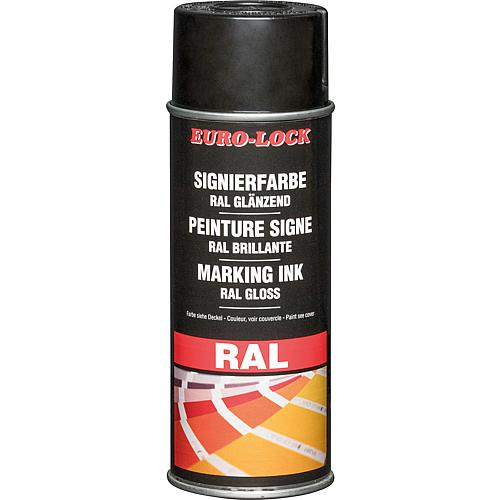 RAL colour spray Anwendung 5