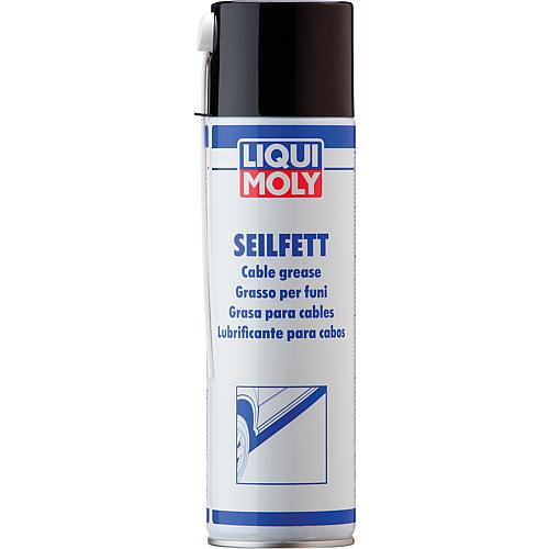 LIQUI MOLY rope grease (spray) Standard 1