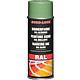 RAL colour spray Anwendung 8