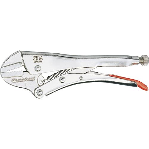 Gripping pliers, straight jaws Standard 1