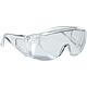 Lunettes de protection Panorama Standard 1