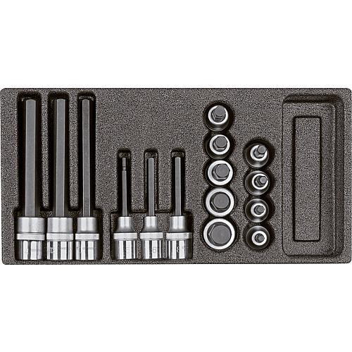 Screwdriver insert set 1/2", in 1/3 foam module, 15-piece Standard 1