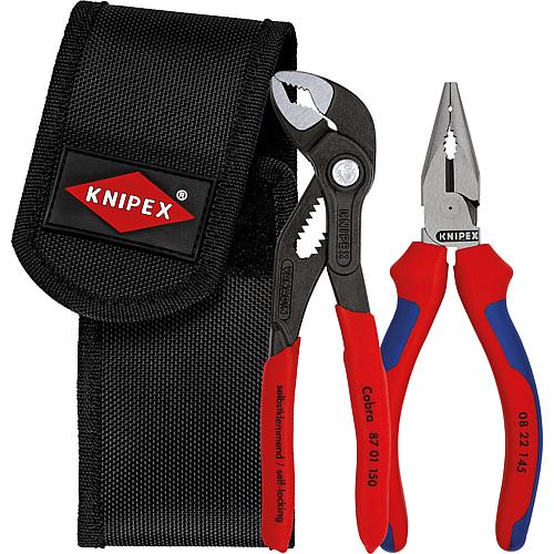 Pliers set, combination pliers and water pump pliers, 2-piece Standard 1