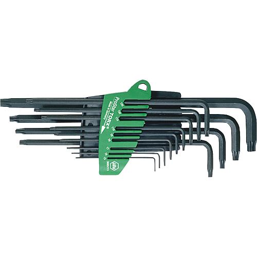 Torx® socket wrench set in ProStar holder, 13-piece Standard 1