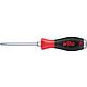 Pozidriv screwdriver with striking cap, hexagonal blade, hex spanner aid Standard 1