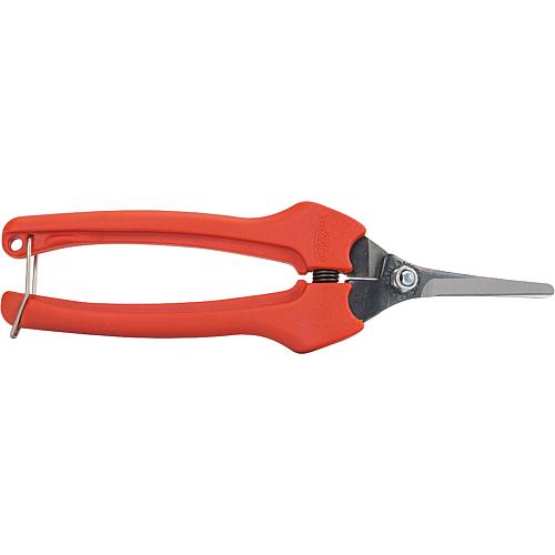 Secateurs P127-19 with short, rounded blades Standard 1