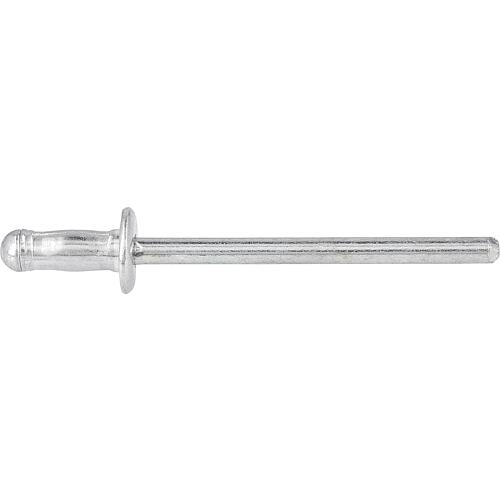 Rivets PolyBulb alu/acier Standard 1