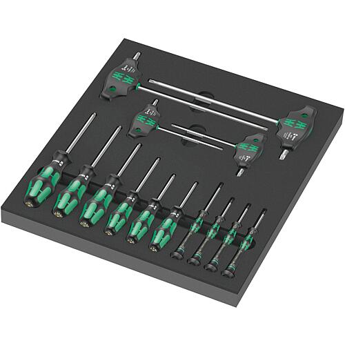 Jeu de tournevis Torx®, dans insert en mousse 2/3, 14 pièces Standard 1