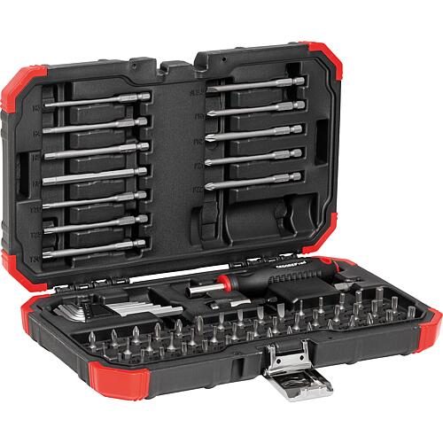 Bit set 1/4", Slotted, Phillips, Pozidriv, Torx®, Torx® TH (with hole), hexagon socket, 67 pieces Anwendung 1