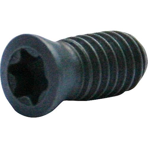 WS clamping screw for carbide indexable insert Standard 1