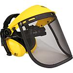 Face protection with hearing protection