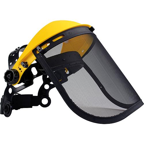 Face protection with headband Standard 1