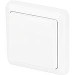 Wall-mounted wireless transmitter, light-switch model