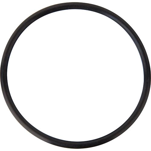 Replacement O-ring Standard 1