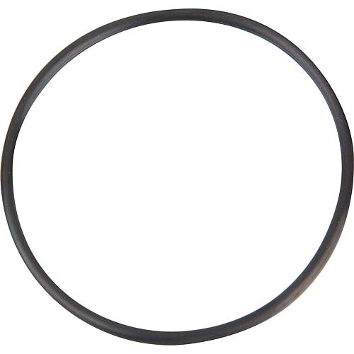 Replacement seal Standard 1