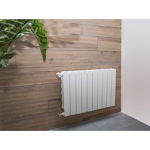 Aluminium radiator Blitz Super B4 model 800/100, white Anwendung 1