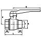 Ball valve, IT x ET with lever handle Standard 2