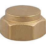 Blind cap 5/8”, with seal