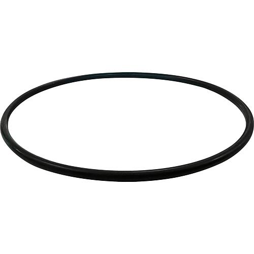 Replacement seal for IVAR Dirtstop Magnetite and dirt separator, PU 10 pcs.