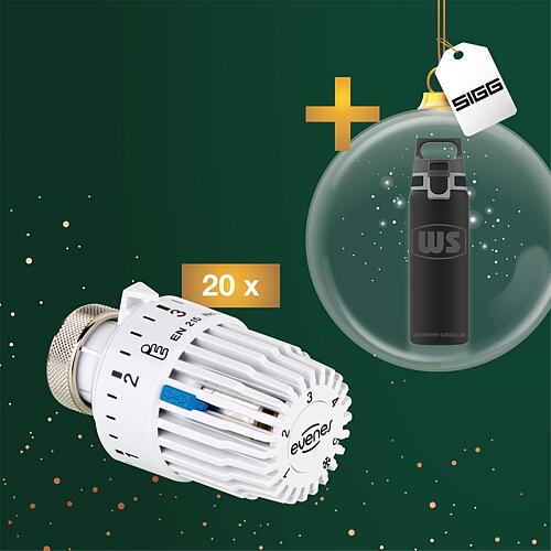 Pack promotionnel Têtes thermostatiques + Gourde SIGG H&C one Light 0,55 l gratuite WS Standard 1