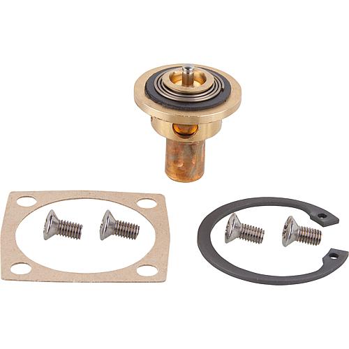 Thermostat insert for Thermomat 1 Insert 61¦C for valve unit