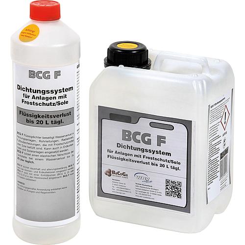 Liquid sealing compound BCG F