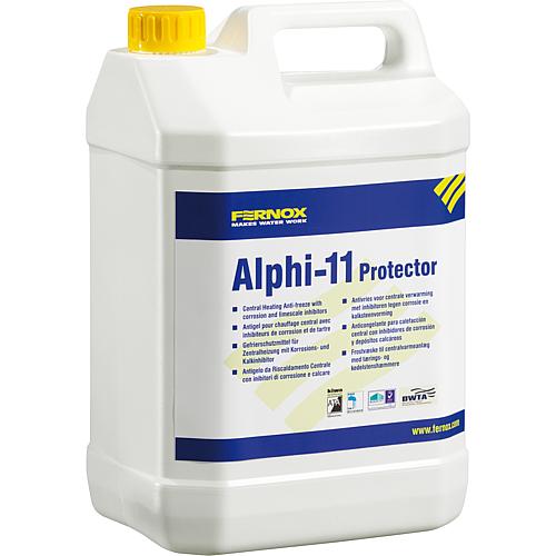 Full central heating connection Alphi-11 with frost protection Standard 1