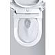 Shower toilet Sensia Arena, complete system for all flush-mounted cisterns Anwendung 4