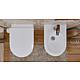 Wall-mounted washdown toilet Elanda made of ceramic, rimless, white matt