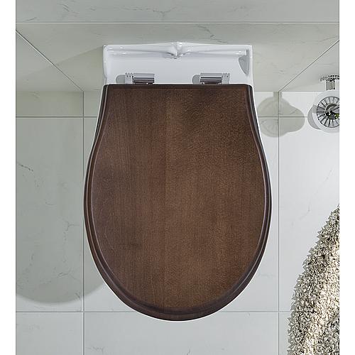 Jubiläum wall-mounted washdown toilet