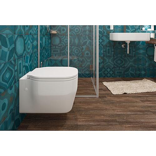 Glaze wall-mounted washdown toilet Anwendung 2