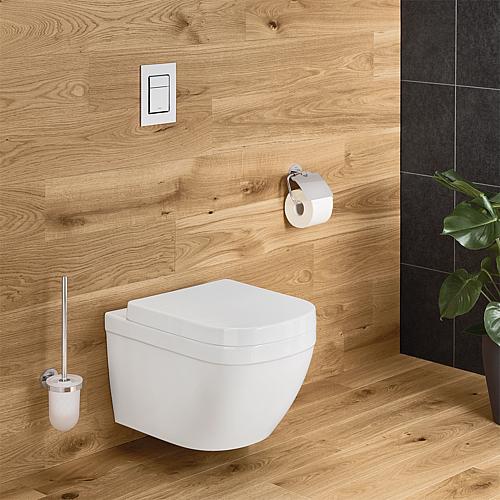 Wall washdown toilet Euro Keramik, rimless Anwendung 1